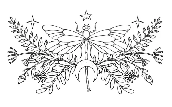 Boho昆虫图解 手绘线形蜻蜓 花的构图 复古元素 巫术和异教艺术 装饰的性质 与白种人隔离 — 图库照片
