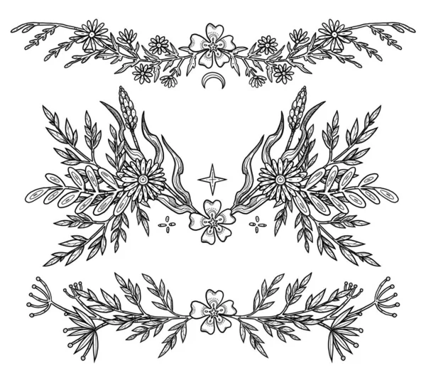 Composições Flores Boho Conjunto Preto Branco Desenhado Mão Ilustrações Florais — Fotografia de Stock