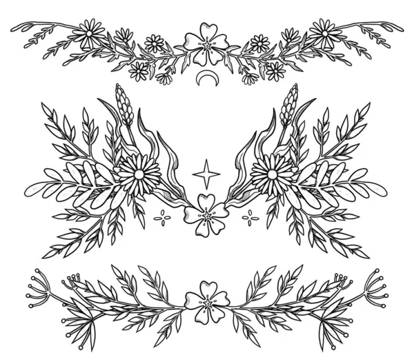 波荷花作曲 手绘线条艺术套件 植物图解 复古元素 巫术和异教艺术 装饰的性质 与白种人隔离 — 图库照片