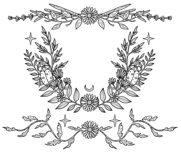 波荷花作曲 手绘黑白套装 植物图解 复古元素 巫术和异教艺术 装饰的性质 与白种人隔离 — 图库照片