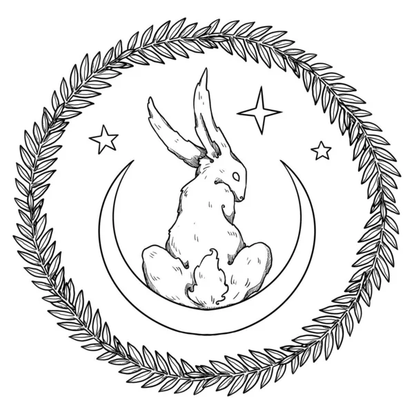 神秘的兔子组合 月亮和星星 兔子的线条艺术 装饰花卉的轮廓 Boho和古董收藏品 巫术和异教艺术 装饰的性质 与白种人隔离 — 图库照片