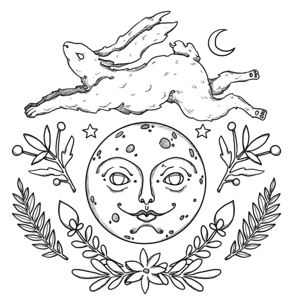 神秘的兔子组合 月亮和花朵 兔子的线条艺术 装饰花卉的轮廓 Boho和古董收藏品 巫术和异教艺术 装饰的性质 与白种人隔离 — 图库照片