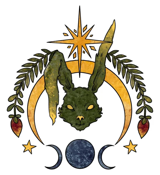 神秘的兔子组合 月亮和星星 绿兔子 装饰轮廓 Boho和古董收藏品 巫术和异教艺术 装饰的性质 与白种人隔离 — 图库照片