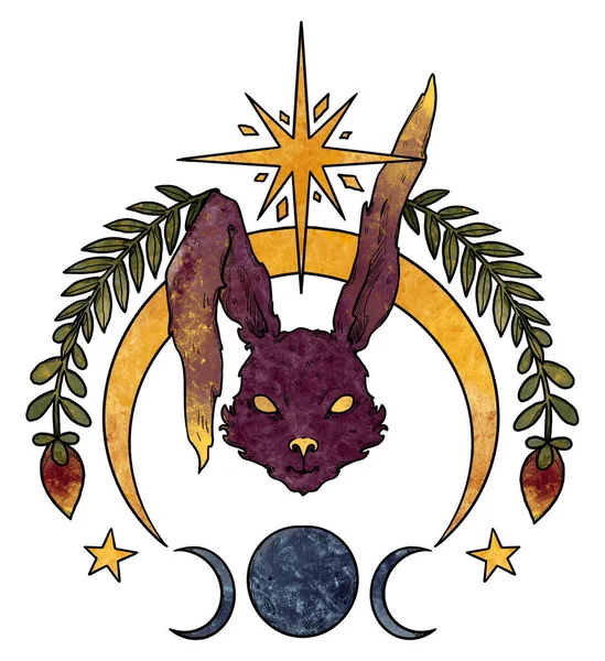 Geheimnisvolle Kaninchenkomposition Mond Und Sterne Roter Hase Dekorative Florale Silhouette — Stockfoto