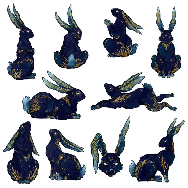 Conjunto Ilustraciones Conejos Colección Boho Vintage Animales Color Azul Patrones —  Fotos de Stock