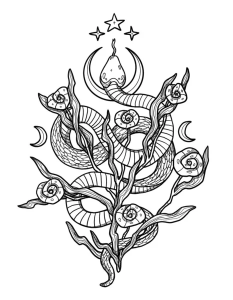 手工绘制的Boho蛇图解 装饰插图 黑人和白人 花的构图 复古元素 巫术和异教艺术 装饰的性质 与白种人隔离 — 图库照片