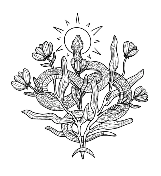 Ręcznie Rysowana Ilustracja Węża Boho Ilustracja Dekoracyjna Czarno Białym Kompozycja — Zdjęcie stockowe