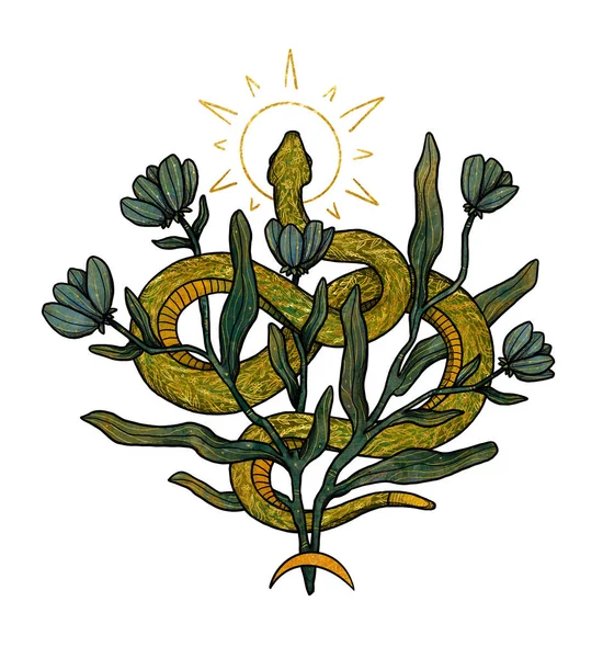 Ilustração Serpente Boho Desenhada Mão Cor Ouro Composição Floral Elemento — Fotografia de Stock