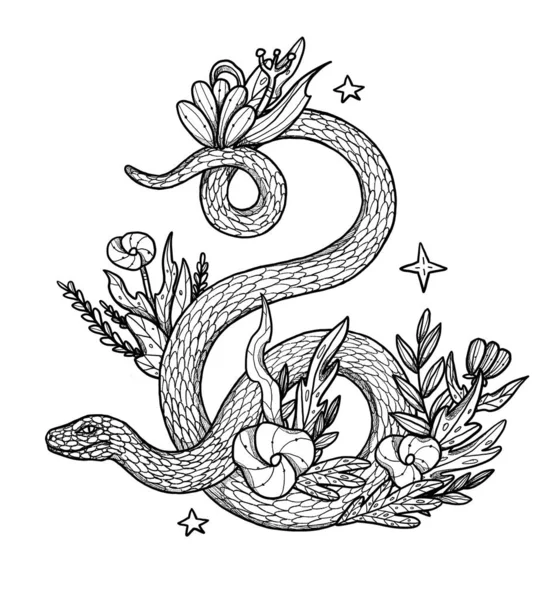 Ručně Kreslená Ilustrace Boho Hada Dekorativní Ilustrace Černobílý Květinové Složení — Stock fotografie