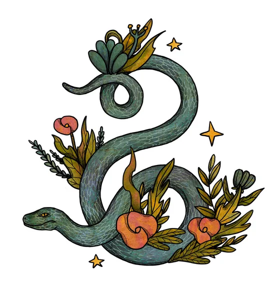 Hand Drawn Boho Snake Illustration Colored Art Floral Composition Vintage — Stock Photo, Image