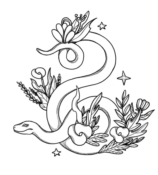 Hand Drawn Boho Snake Illustration Decorative Illustration Black White Floral — Stock Photo, Image
