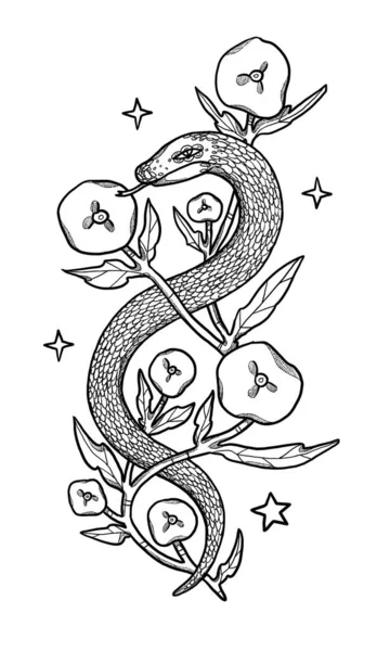 Ручная Иллюстрация Змеями Декоративная Иллюстрация Черное Белое Цветочный Состав Винтажный — стоковое фото