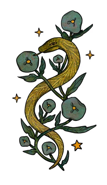 手工绘制的Boho蛇图解 颜色和黄金 花的构图 复古元素 巫术和异教艺术 装饰的性质 与白种人隔离 — 图库照片