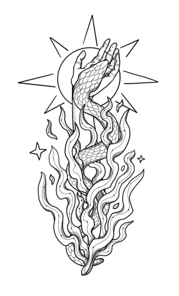 Illustrazione Del Serpente Boho Disegnato Mano Illustrazione Decorativa Bianco Nero — Foto Stock
