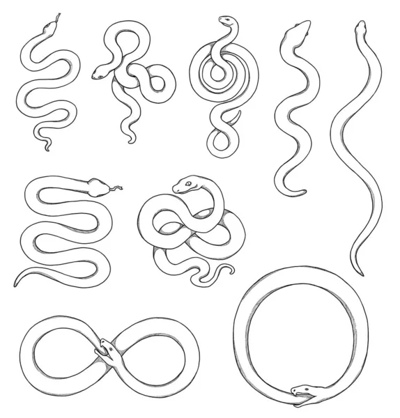 Sada Hadích Ilustrací Boho Kolekce Ročníků Černobílé Prvky Line Art — Stock fotografie
