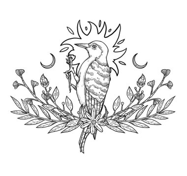 Boho kuşları çizimi. El yapımı ağaçkakan. Çizgi sanatı. Çiçek kompozisyonu. Vintage elementi. Wiccan ve pagan sanatı. Dekoratif bir doğa. Beyazda izole edilmiş