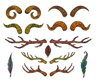 Dekoratif boynuz ve kuş tüyü çizimleri. Boho ve vintage koleksiyonu. Renkli set. El yapımı bitkiler. Beyaz arka planda izole elementler. Goblincore