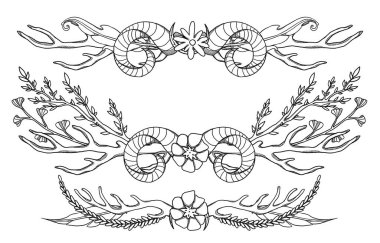 Çiçek çerçeveleri. El yapımı botanik seti. Çizgi sanatı. Çiçek kompozisyonu. Vintage elementi. Wiccan ve pagan sanatı. Dekoratif bir doğa. Beyazda izole edilmiş