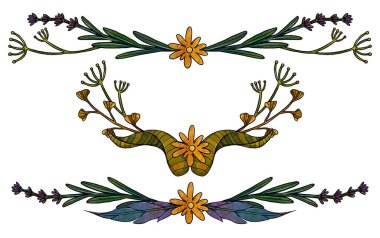 Çiçek çerçeveleri. El yapımı botanik kompozisyonlar. Renkli. Vintage elementi. Wiccan ve pagan sanatı. Dekoratif bir doğa. Beyazda izole edilmiş