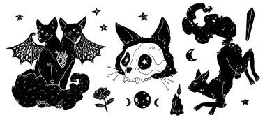 Bir grup cadı resimlere aşina. Kedi seti. Boho ve vintage koleksiyonu. Dekoratif hayvan silueti. Wiccan ve pagan sanatı. Dekoratif bir doğa. Beyazda izole edilmiş