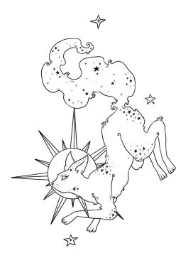 Cadıların Tanıdık Kompozisyonu. Gizemli kedi. Dekoratif çizim çizimleri. Boho ve vintage koleksiyonu. Wiccan ve pagan sanatı. Dekoratif bir doğa. Beyazda izole edilmiş