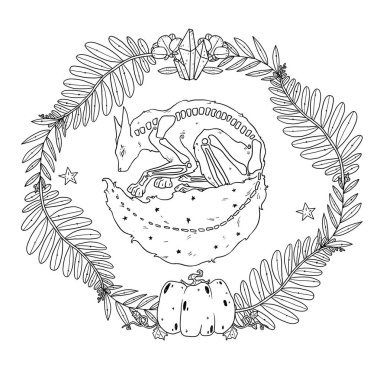 Cadıların Tanıdık Kompozisyonu. Gizemli tilki. Dekoratif çizim çizimleri. Boho ve vintage koleksiyonu. Wiccan ve pagan sanatı. Dekoratif bir doğa. Beyazda izole edilmiş