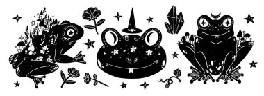Bir grup cadı resimlere aşina. Kurbağa seti. Boho ve vintage koleksiyonu. Dekoratif hayvan silueti. Wiccan ve pagan sanatı. Dekoratif bir doğa. Beyazda izole edilmiş