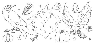 Bir grup cadı resimlere aşina. Kuzgun hazır. Boho ve Vintage. Çizgi sanatı hayvan koleksiyonu. Wiccan ve pagan sanatı. Dekoratif bir doğa. Beyazda izole edilmiş