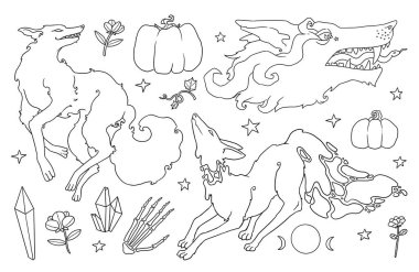 Bir grup cadı resimlere aşina. Kurt seti. Boho ve Vintage. Çizgi sanatı hayvan koleksiyonu. Wiccan ve pagan sanatı. Dekoratif bir doğa. Beyazda izole edilmiş