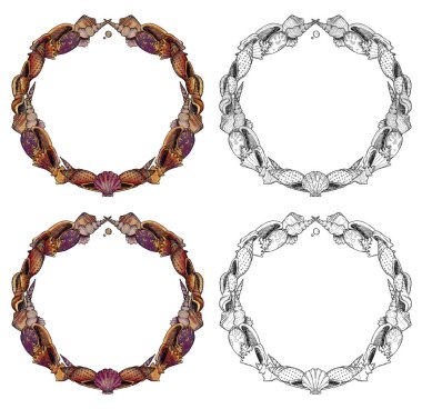 Boho fişekleri. Elle boyanmış ve çizilmiş sanat seti. Deniz ve okyanus çizimleri. Vintage elementi. Wiccan ve pagan sanatı. Dekoratif bir doğa. Beyazda izole edilmiş