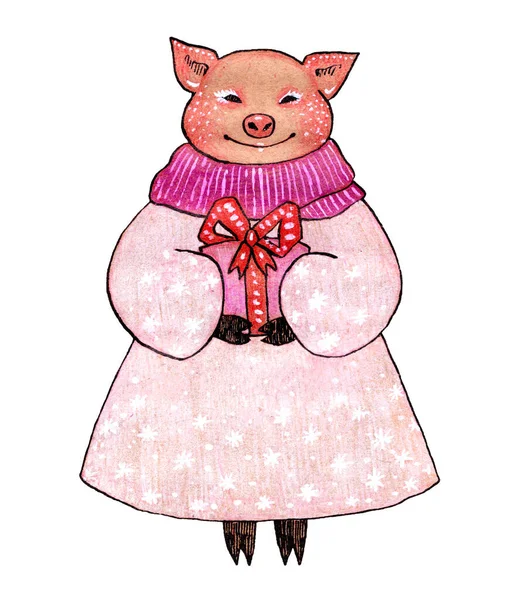 손으로 잉크와 돼지의 크리스마스 그림에 귀여운 엽서에 2019 — 스톡 사진