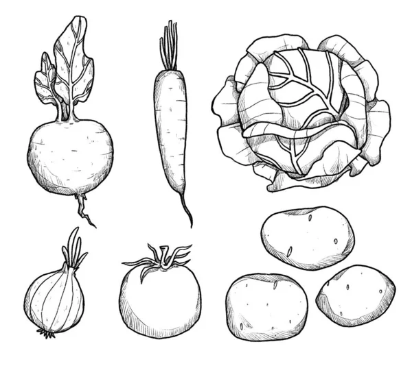 Sebze Takımı Vejetaryen Setinin Elle Çizilmiş Siyah Beyaz Çizimleri Beyaz — Stok fotoğraf