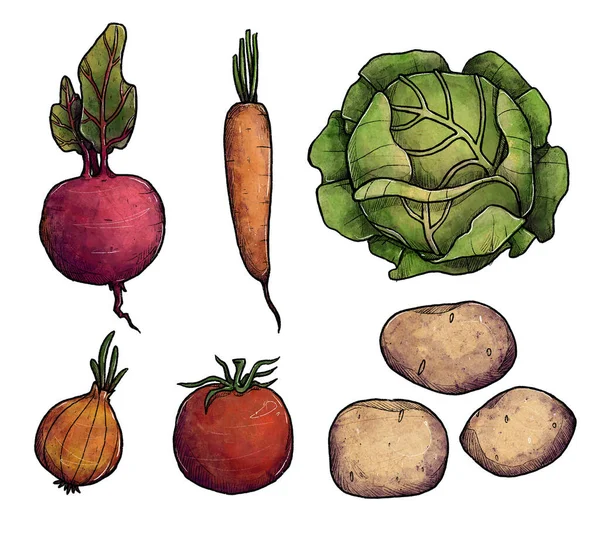 Ensemble Légumes Illustrations Colorées Dessinées Main Ensemble Végétalien Isolé Sur — Photo