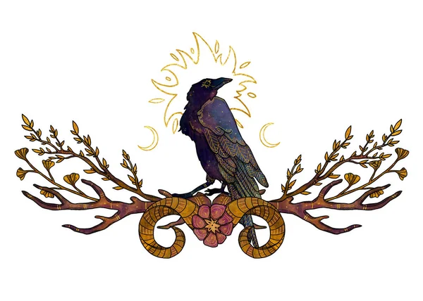 Boho鸟的例子 手绘乌鸦 着色了花的构图 复古元素 巫术和异教艺术 装饰的性质 与白种人隔离 — 图库照片