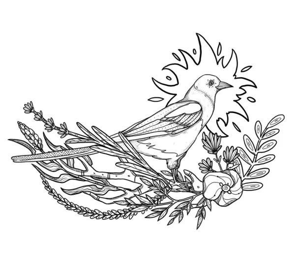 Boho Birds Illustration Hand Drawn Magpie Line Art Floral Composition — Stock Photo, Image