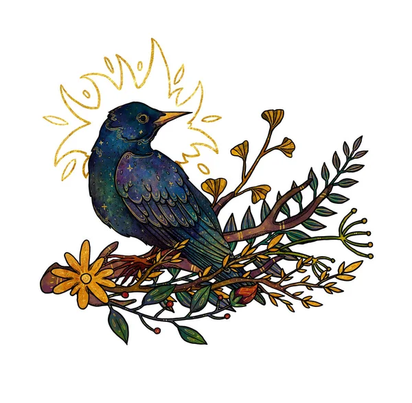 Boho Aves Ilustração Borboleta Desenhada Mão Colorido Composição Floral Elemento — Fotografia de Stock