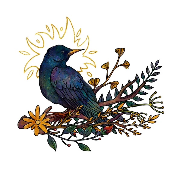 Boho Kuşları Çizimi Elle Çizilmiş Kelebek Renkli Çiçek Kompozisyonu Vintage — Stok fotoğraf