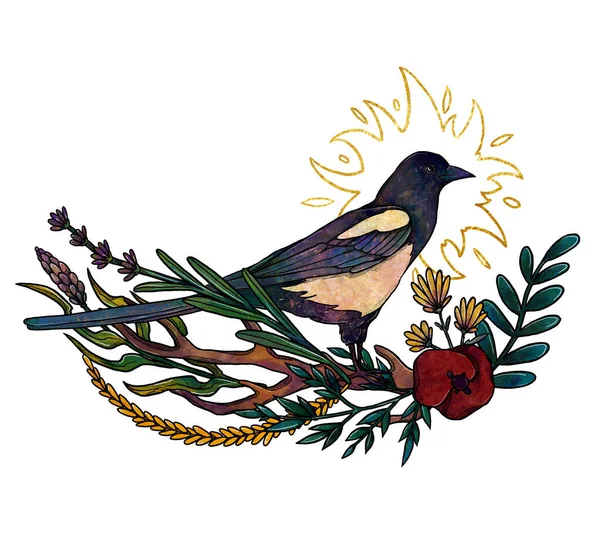 Boho Kuşları Çizimi Elle Çizilmiş Saksağan Renkli Çiçek Kompozisyonu Vintage — Stok fotoğraf