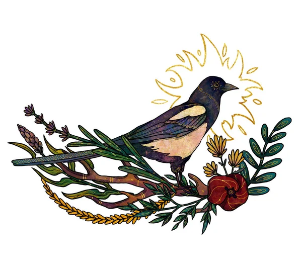 Boho Aves Ilustração Magpie Desenhado Mão Colorido Composição Floral Elemento — Fotografia de Stock