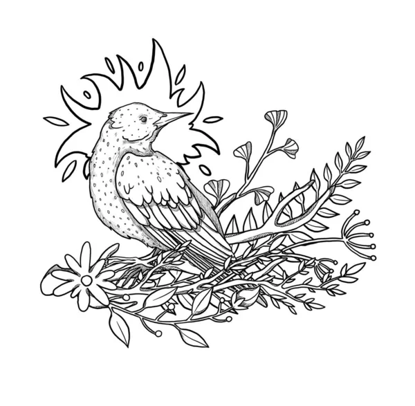 Εικονογράφηση Πουλιών Boho Χειροποίητος Πύργος Γραμμική Τέχνη Σύνθεση Λουλουδιού Παλιό — Φωτογραφία Αρχείου