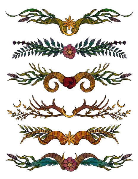 Molduras Flores Composições Botânicas Desenhadas Mão Colorido Elemento Vintage Arte — Fotografia de Stock