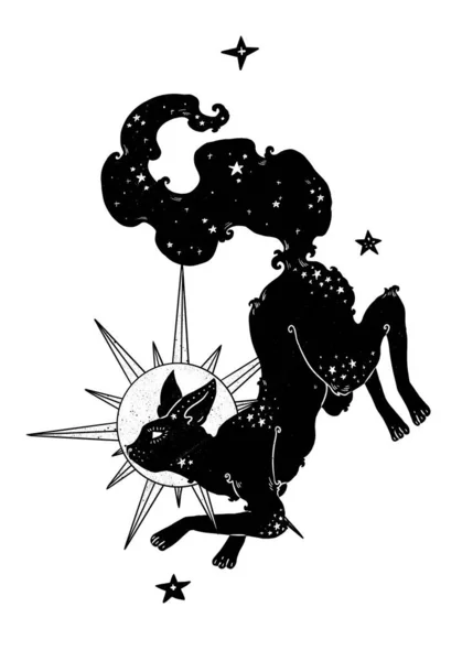 Composição Familiar Das Bruxas Gato Misterioso Silhueta Decorativa Boho Coleção — Fotografia de Stock
