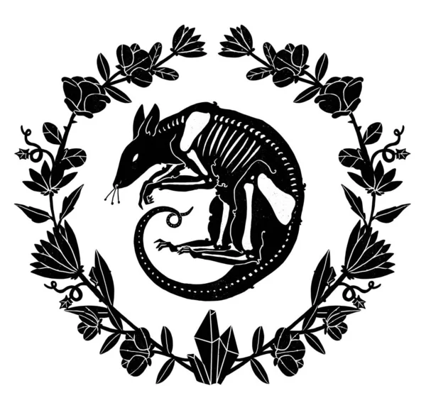 Cadıların Tanıdık Kompozisyonu. Gizemli sıçan. Dekoratif siluet. Boho ve vintage koleksiyonu. Wiccan ve pagan sanatı. Dekoratif bir doğa. Beyazda izole edilmiş