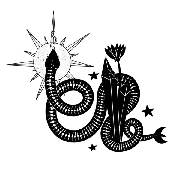Sorcières Composition Familière Serpent Mystérieux Silhouette Décorative Boho Collection Vintage — Photo