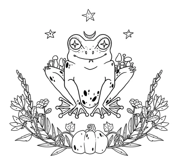 Witches Familiar Composition Mystery Frog Decorative Line Art Illustrations Boho — Stock Photo, Image