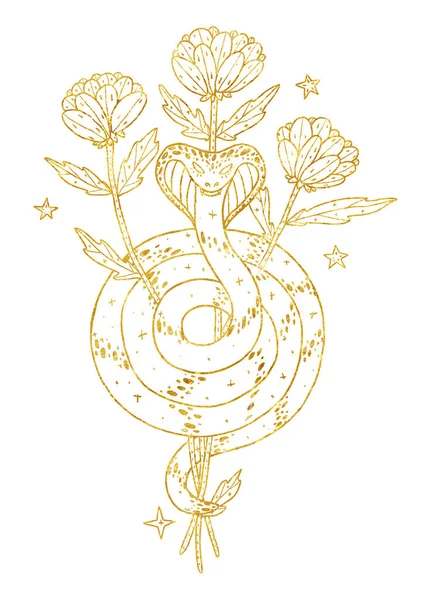 Знакомая Композиция Ведьм Загадочная Змея Декоративное Искусство Золотой Линии Бохо — стоковое фото