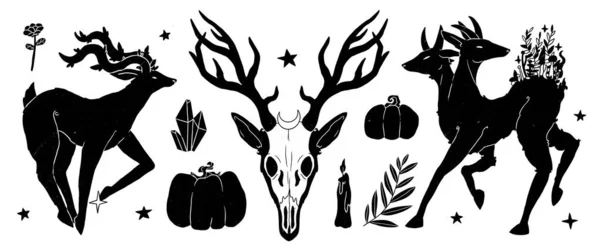 Sada Známých Čarodějek Ilustrací Deer Set Boho Kolekce Ročníků Silueta — Stock fotografie
