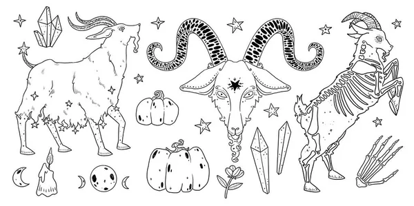 Eine Reihe Von Hexen Vertraut Illustrationen Ziegenset Vorhanden Boho Und — Stockfoto