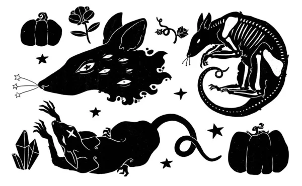 魔女の家族のイラストのセット ラットセット Bohoとヴィンテージコレクション 装飾的な動物のシルエット ウィッカンと異教の芸術 装飾的な性質 白に隔離される — ストック写真