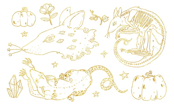 Set Witches Familiars Illustrations Rat Set Golden Line Art Boho — Stock Photo, Image